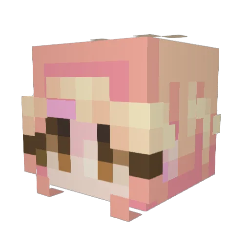 blobfish2008 Minecraft avatar head, 3D render