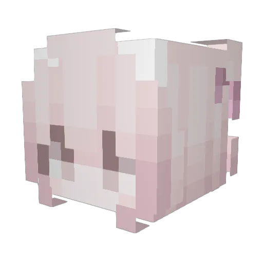 blobnom Minecraft avatar head, 3D render