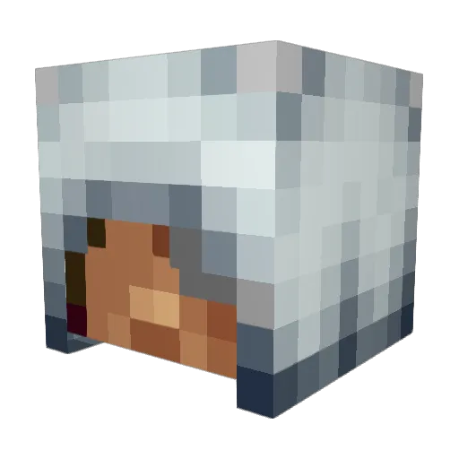 block6651 Minecraft avatar head, 3D render