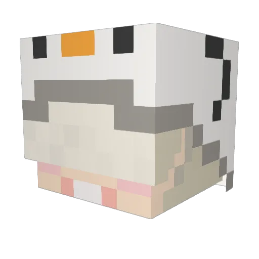 blockAet Minecraft avatar head, 3D render