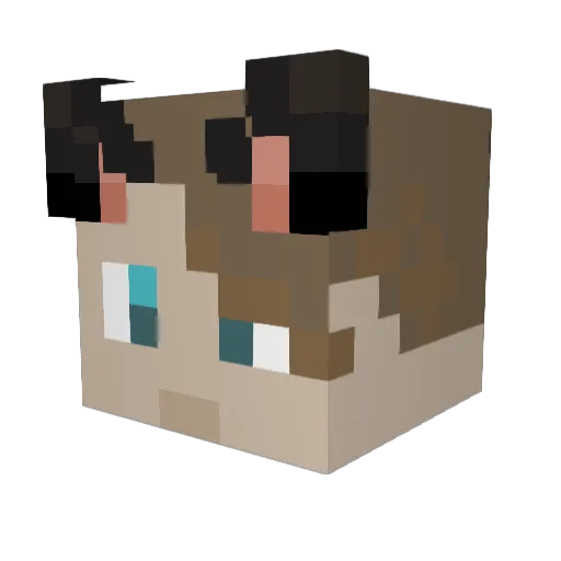 blockboylol Minecraft avatar head, 3D render