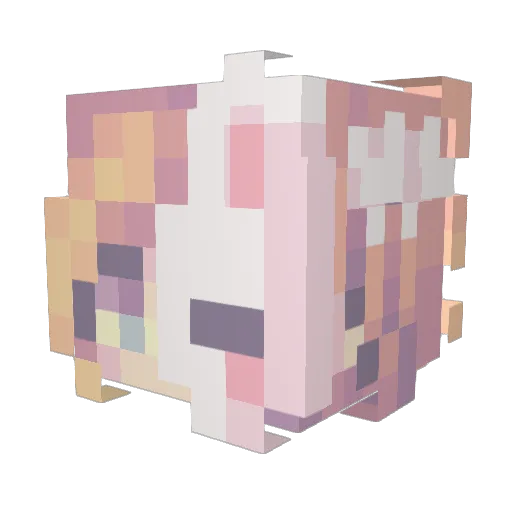 blockbunny28 Minecraft avatar head, 3D render