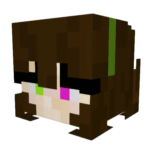 blockedgrim1111 Minecraft avatar head, 3D render