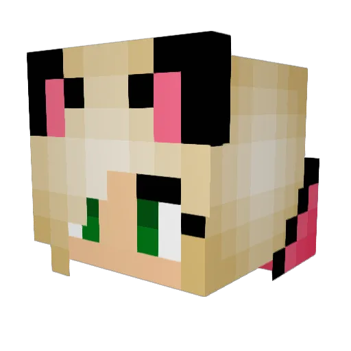 blockerG Minecraft avatar head, 3D render