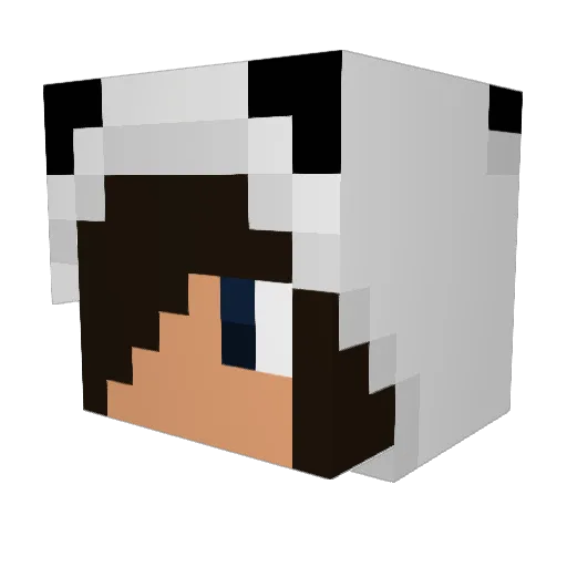 blockghost123 Minecraft avatar head, 3D render