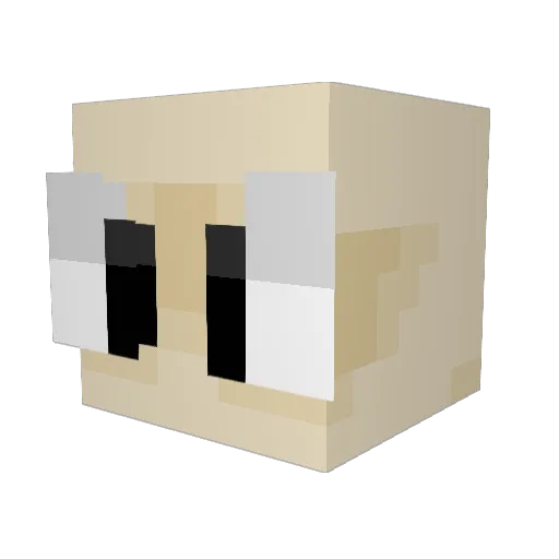 blockhead101001 Minecraft avatar head, 3D render