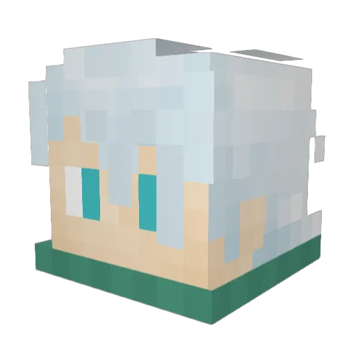 blockkilli Minecraft avatar head, 3D render