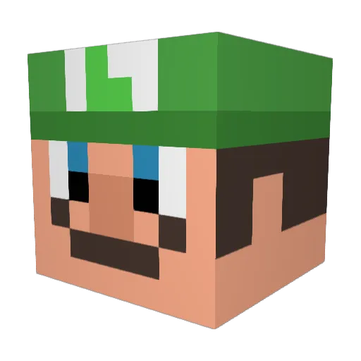 blockman6312 Minecraft avatar head, 3D render