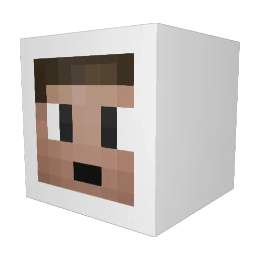 blocksits Minecraft avatar head, 3D render