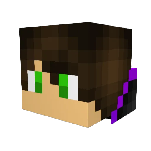 blocksu0493 Minecraft avatar head, 3D render