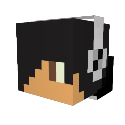 blockt3ch Minecraft avatar head, 3D render