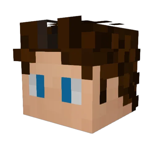blocky1995 Minecraft avatar head, 3D render