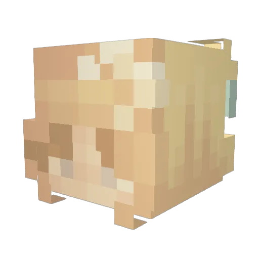 blockyyyyyyyyyy Minecraft avatar head, 3D render