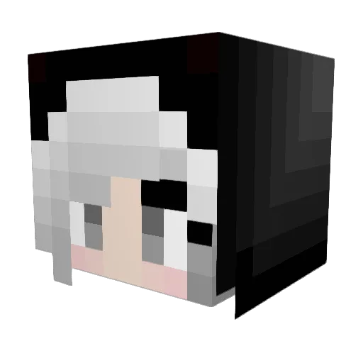 blockzyopokeball Minecraft avatar head, 3D render