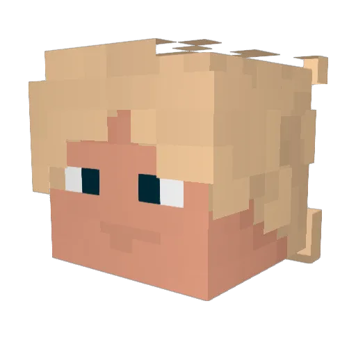 bloicee Minecraft avatar head, 3D render
