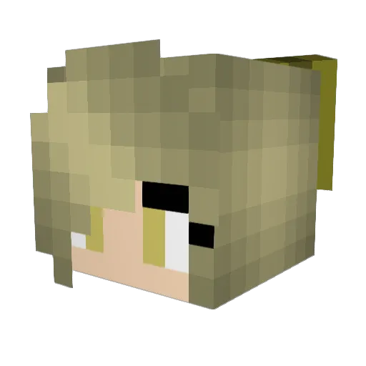 blokesses Minecraft avatar head, 3D render