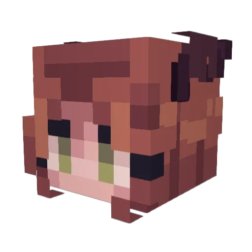 blomgus Minecraft avatar head, 3D render