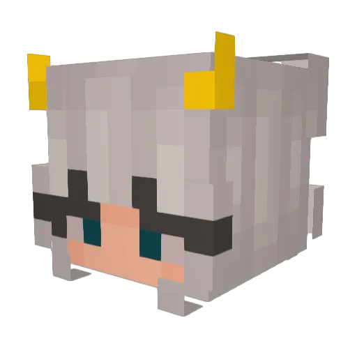 blomst123 Minecraft avatar head, 3D render