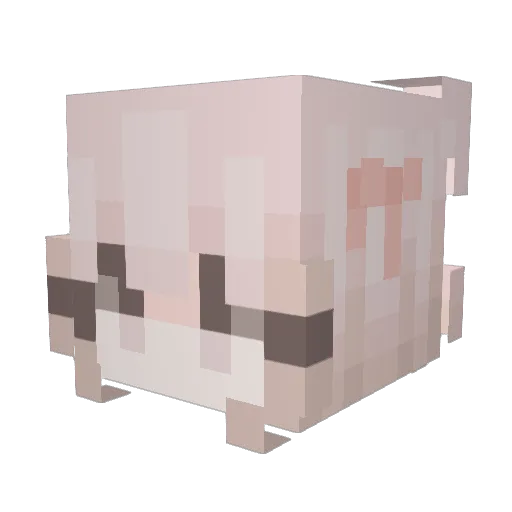 blondebabe123 Minecraft avatar head, 3D render