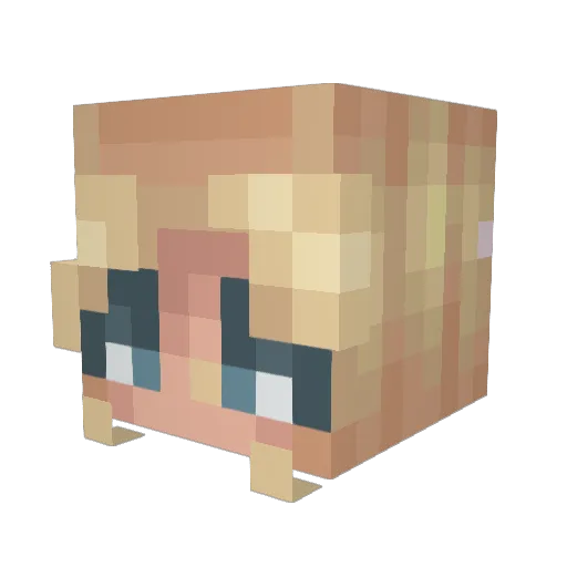 blondebagel Minecraft avatar head, 3D render