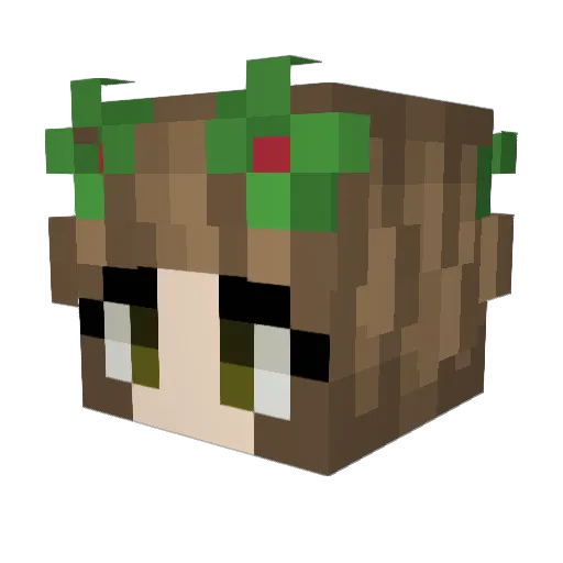 bloochicken03 Minecraft avatar head, 3D render