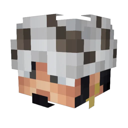 bloocoopa_ Minecraft avatar head, 3D render