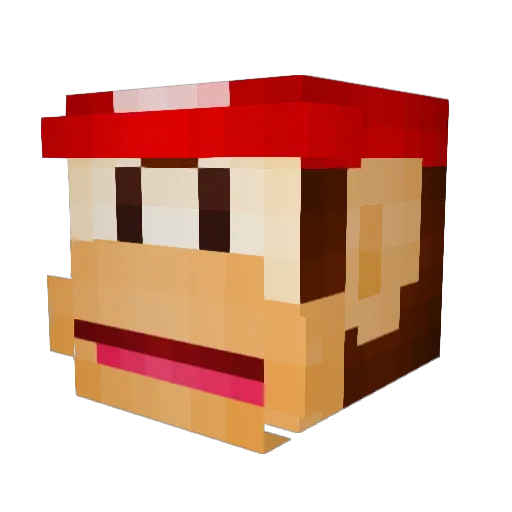 bloodbaggie Minecraft avatar head, 3D render