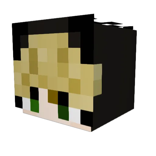 bloodmoonwitchx Minecraft avatar head, 3D render