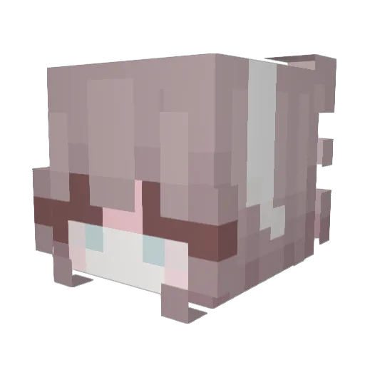bloodninja101 Minecraft avatar head, 3D render