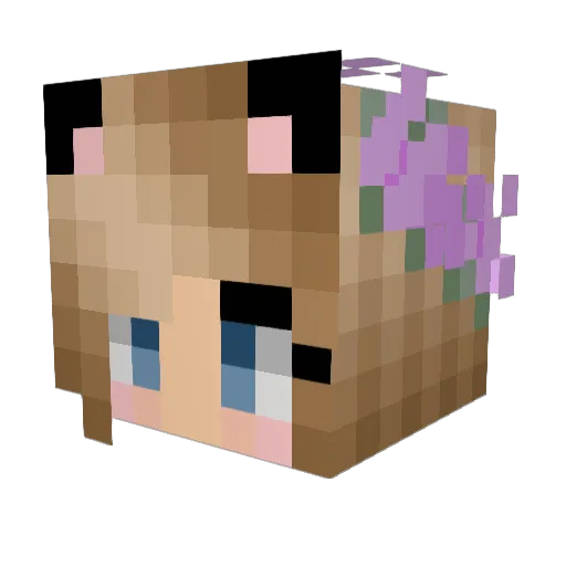 bloom11234 Minecraft avatar head, 3D render