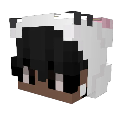 bloomely Minecraft avatar head, 3D render