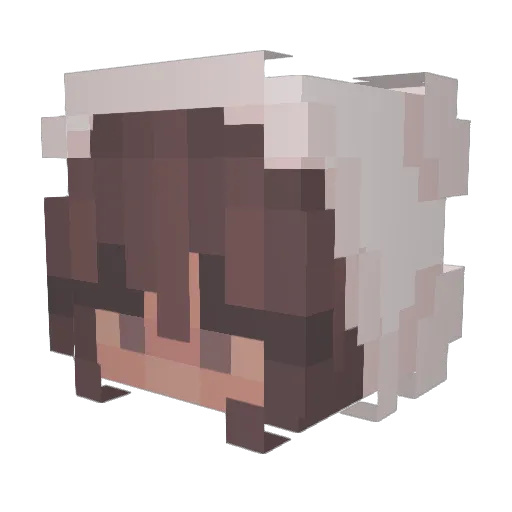 bloomeree Minecraft avatar head, 3D render
