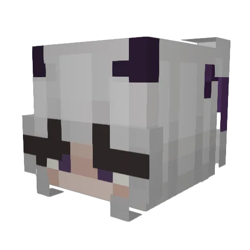 bloominglilums Minecraft avatar head, 3D render