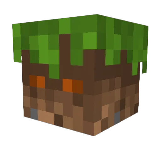 bloomscreen Minecraft avatar head, 3D render