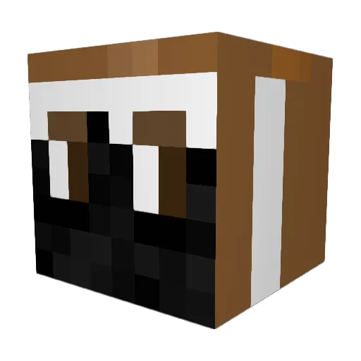 blooper505 Minecraft avatar head, 3D render