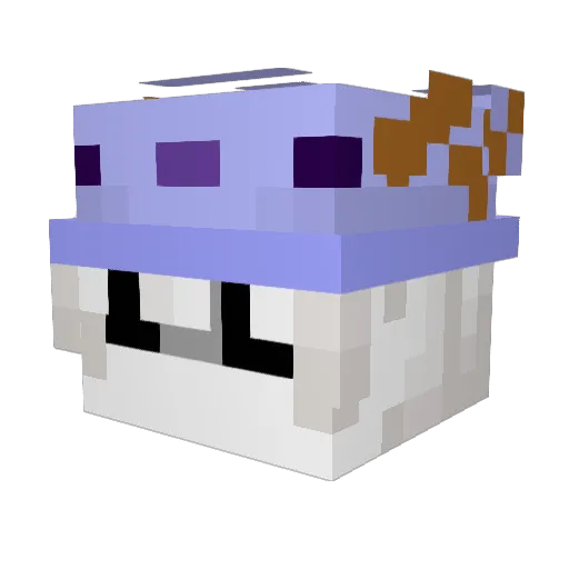 bloopiyyy Minecraft avatar head, 3D render