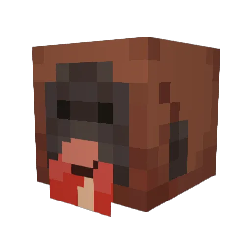 bloosqurrl Minecraft avatar head, 3D render