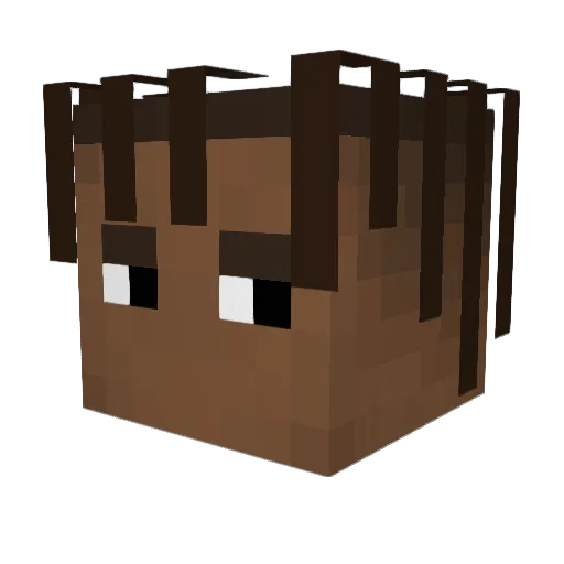 blopms Minecraft avatar head, 3D render