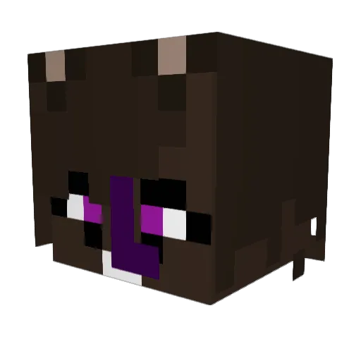 blossa21 Minecraft avatar head, 3D render