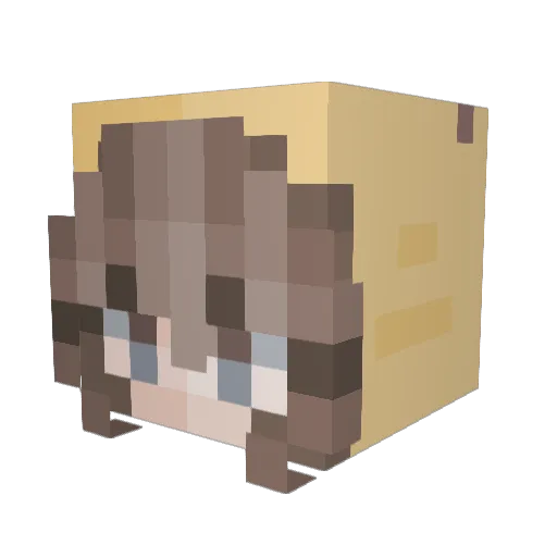 blossomeee Minecraft avatar head, 3D render