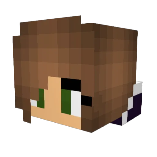 blotekont013 Minecraft avatar head, 3D render