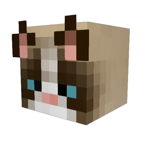 bloxcatz Minecraft avatar head, 3D render