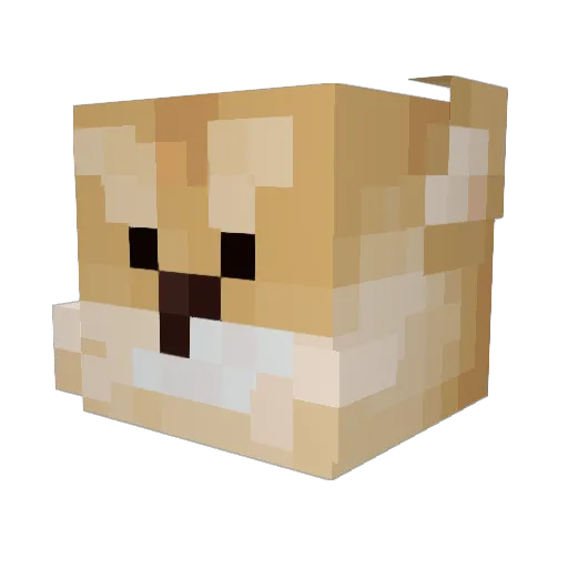 bloxwaters Minecraft avatar head, 3D render