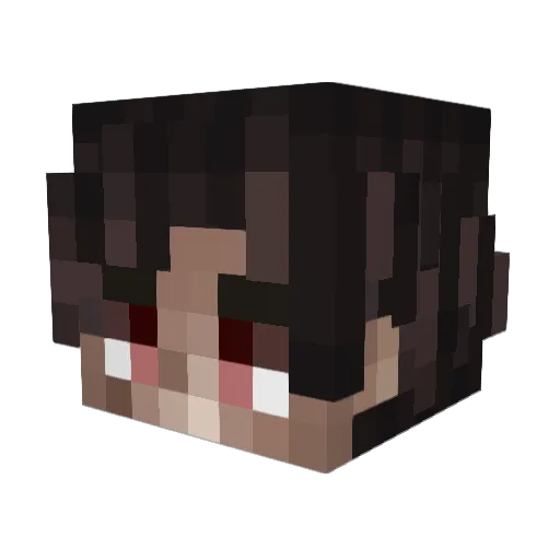 blqckandwh1te Minecraft avatar head, 3D render