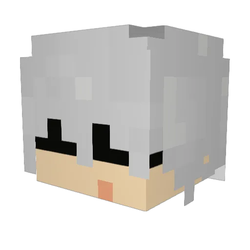blsfan69 Minecraft avatar head, 3D render