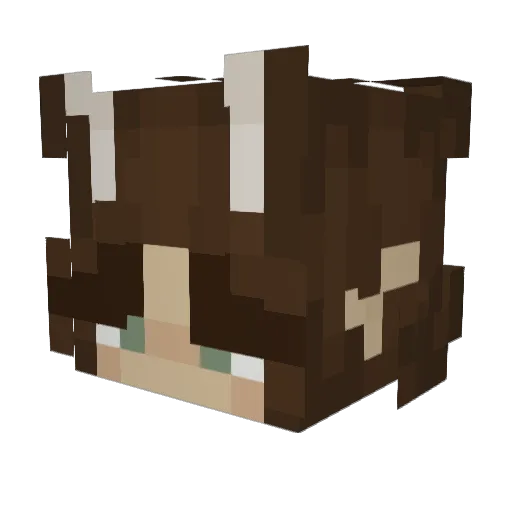 bluaster Minecraft avatar head, 3D render
