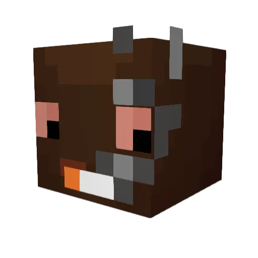 blubba_ Minecraft avatar head, 3D render