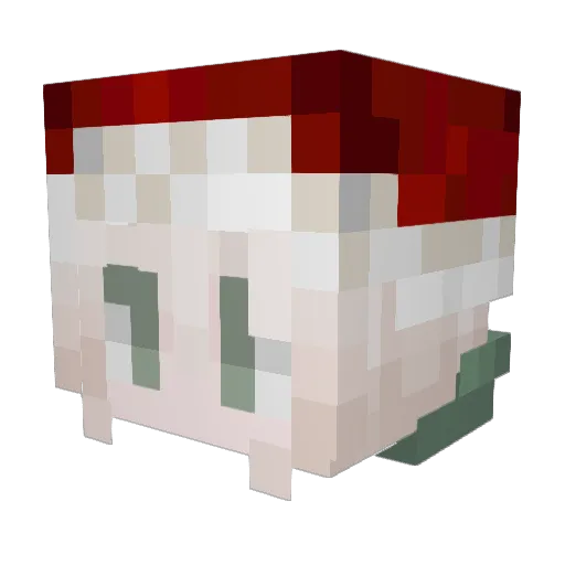 bluberface Minecraft avatar head, 3D render
