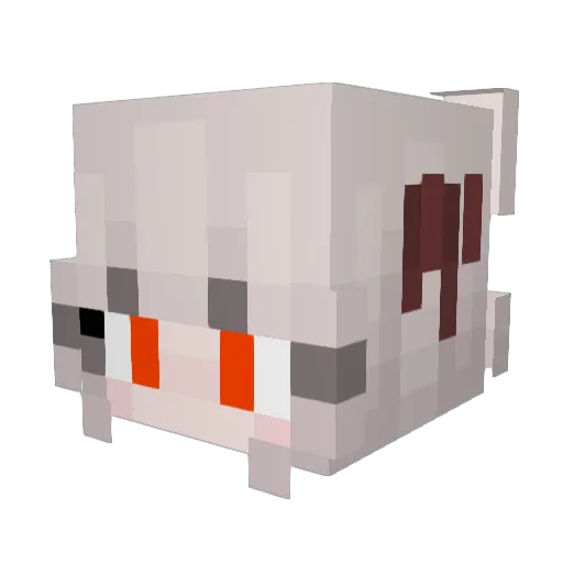 blubs3351 Minecraft avatar head, 3D render