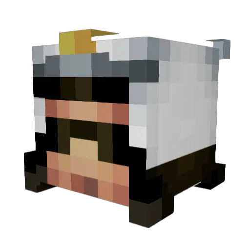 bludsweatsaliva Minecraft avatar head, 3D render